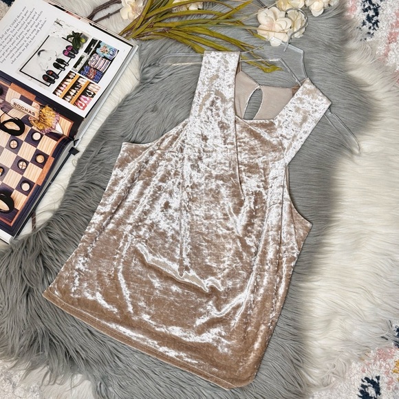 Anthropologie Porridge Crushed Velvet Champage Women’s Sleeveless Top Sz S - Picture 12 of 12